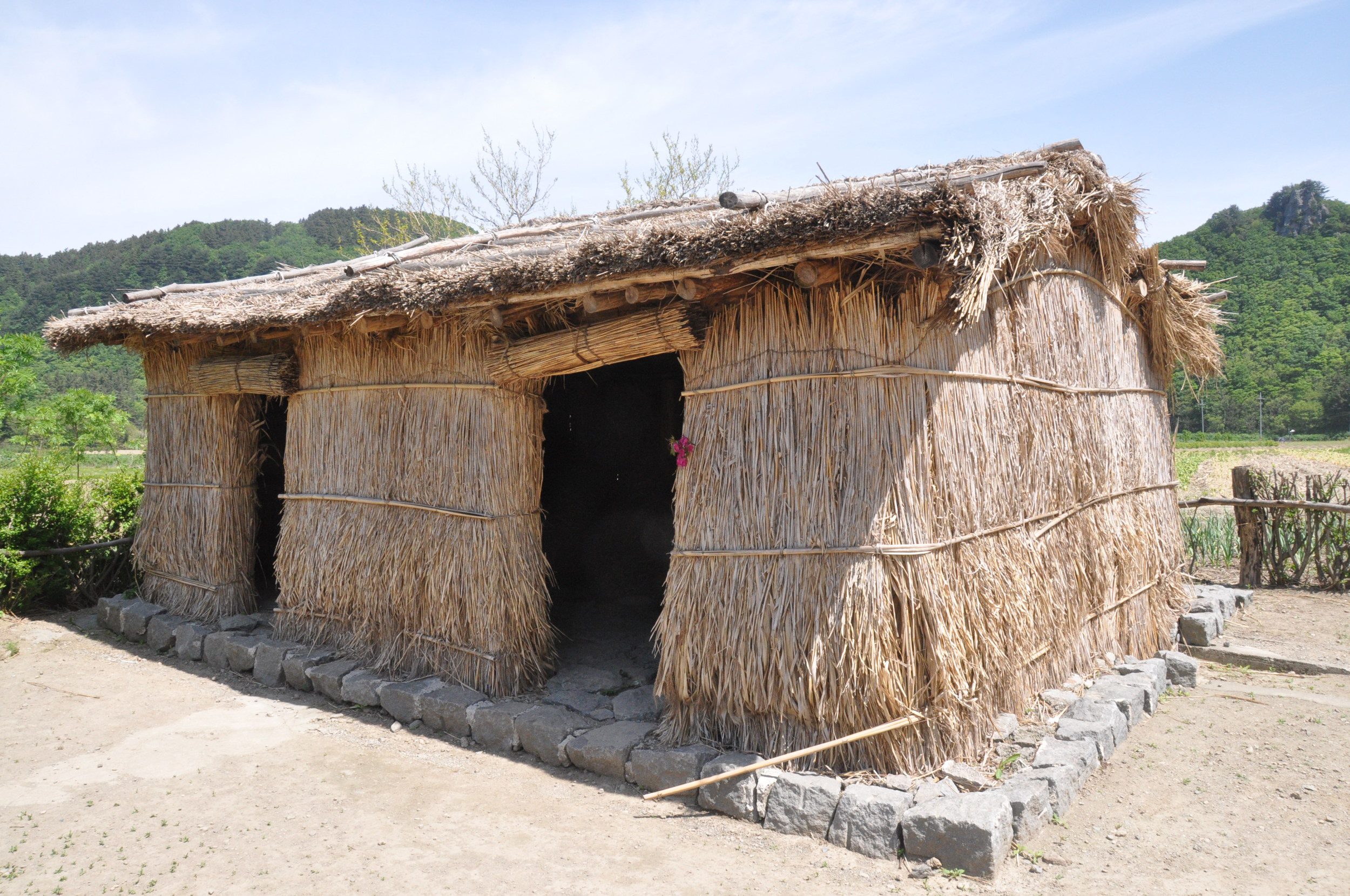 郁陵岛韩国传统稻草屋