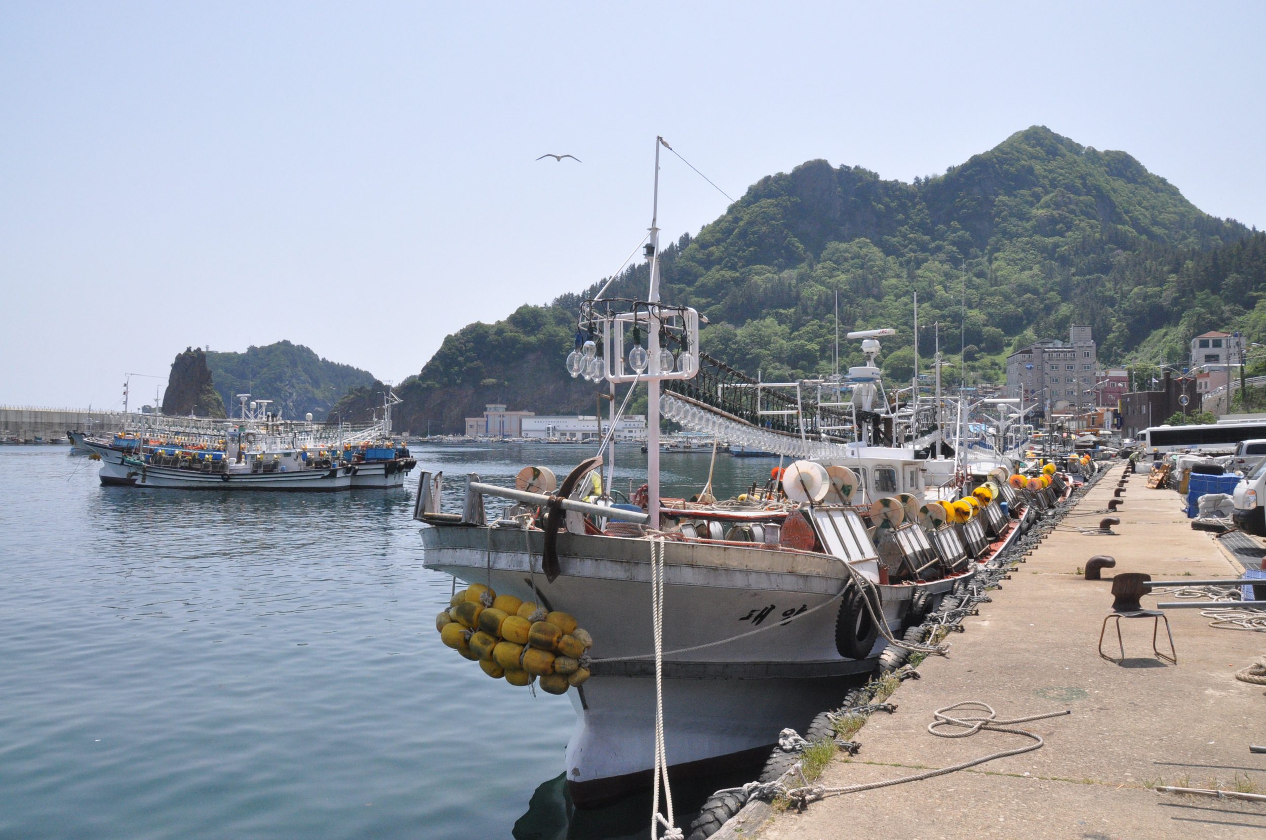 韩国郁陵岛港