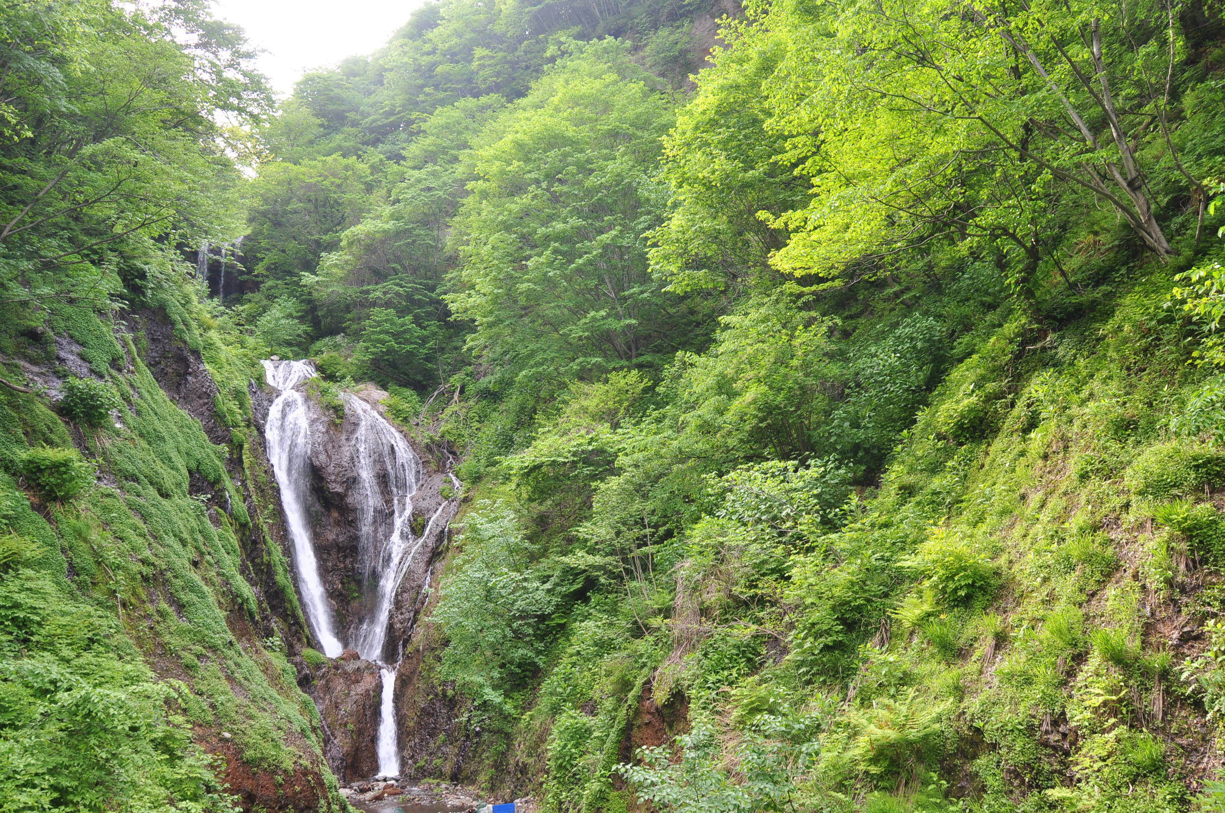 韩国郁陵岛瀑布