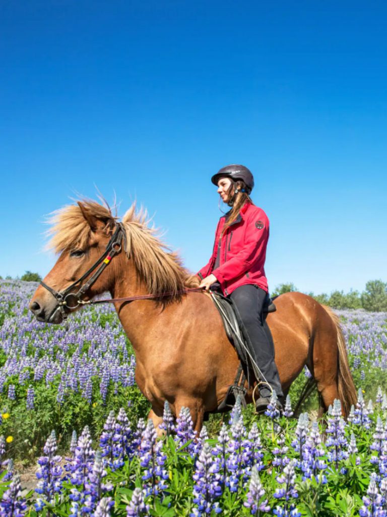 冰岛Airbnb体验|骑马