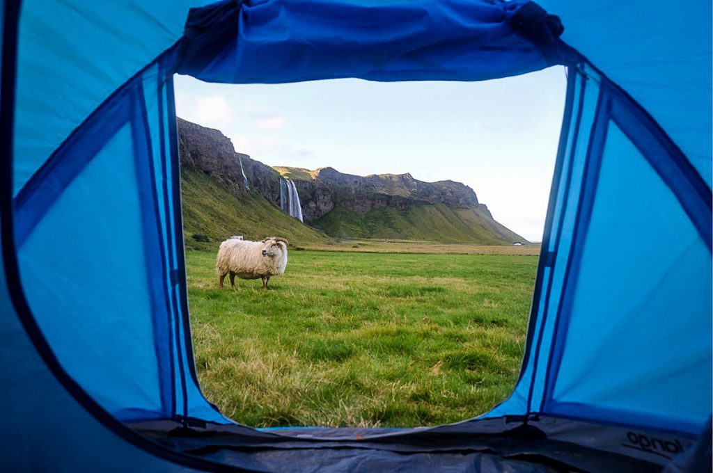 冰岛露营| hamragar / ar露营地