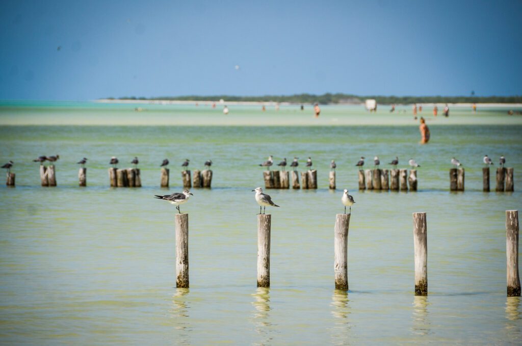 墨西哥的Isla Holbox