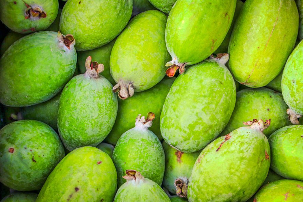 Feijoa新西兰食品