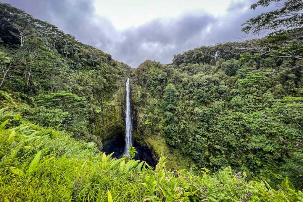 Akaka Falls State Park Hawai'i Island