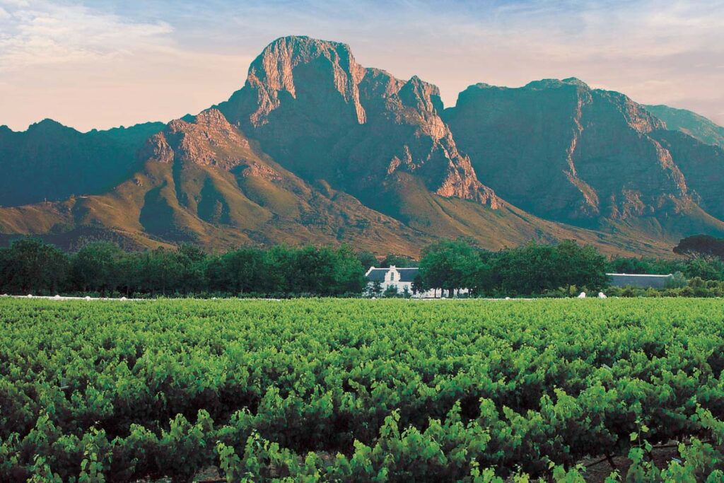 Boschendal Franschhoek(网站)