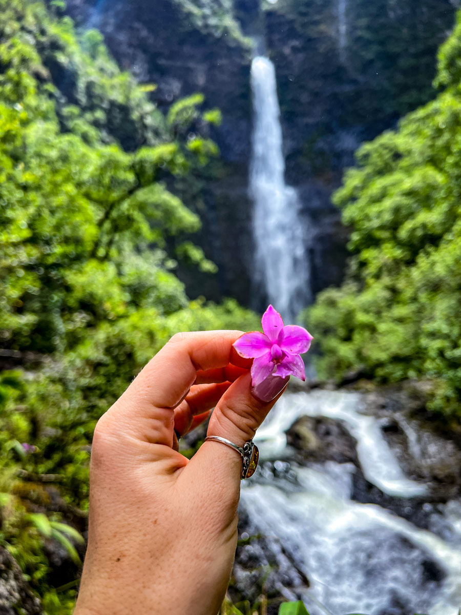 哈纳卡皮瀑布花卡拉劳步道