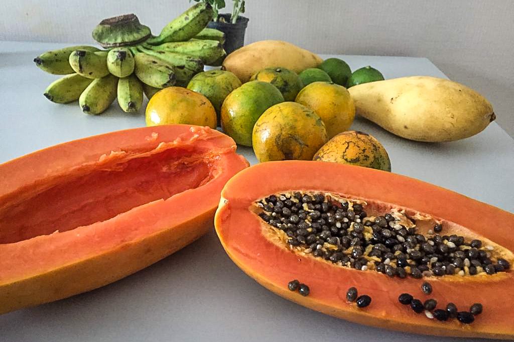 Papaya Hawaiian fruit